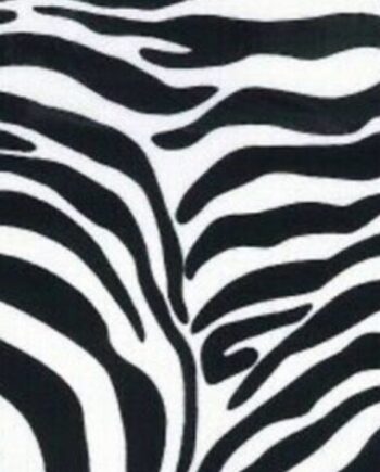 zebra print childrens teepee